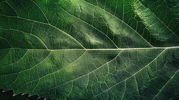 ai generato dettagliato struttura di un' verde foglia rivela della natura intricato bellezza, ai generato. foto