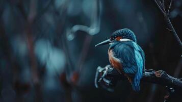 ai generato un' martin pescatore uccello maestosamente arroccato su un' ramo, un' sbalorditivo Schermo di della natura eleganza, ai generato. foto