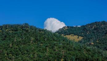 il bellezza di natura a partire dal algeria foto