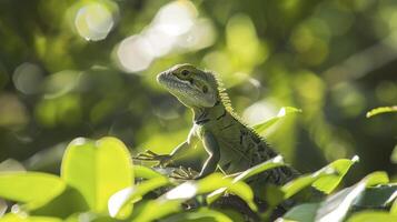 ai generato grazioso lucertola. un' maestoso creatura di natura. foto