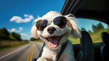 ai generato gioioso cucciolo ha divertimento, testa su auto finestra con occhiali, ai generato foto