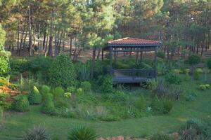 un' gazebo annidato in mezzo vivace verdura di un' foresta foto