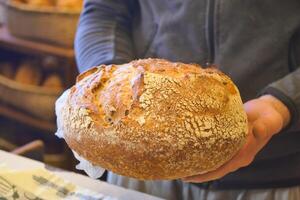 persona Tenere un' pagnotta di pane cibo, di base cibo, al forno merce, veloce cibo foto