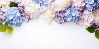 ai generato piatto posizione, confine di blu e viola ortensia fiori su un' bianca sfondo, con spazio per testo foto