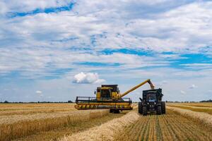 estate raccolta di grande combinare. giallo combinare agricolo agricoltura. foto