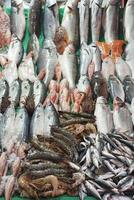 fresco pesce nel ghiaccio a Locale mercato negozio foto