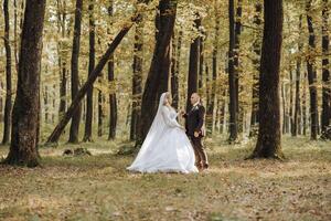 un' nozze coppia è a piedi nel natura su un autunno giorno. contento giovane sposa e elegante sposo Tenere mani. un' elegante coppia di Novelli sposi su loro nozze giorno. foto