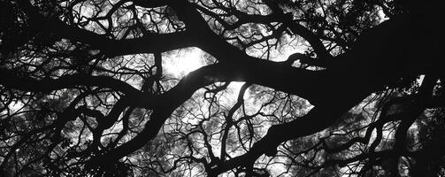 ai generato sotto il stellato baldacchino, ombreggiato rami di un' albero getto contro il nero e bianca toni di il vasto notte cielo foto