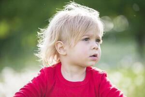 bellissimo Due anno vecchio biondo bambino. il viso di il bambino vicino su. foto