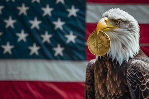 ai generato Calvo aquila Tenere bitcoin luccicante con Stati Uniti d'America bandiera su il sfondo foto