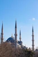 sultanahmet o blu moschea verticale foto. foto