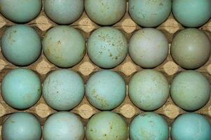 anatra uova ordinatamente disposte nel un uovo scatola o vassoio per essere elaborato in salato uova foto