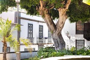 Casa con finestre su il strada di il vecchio cittadina di icod de los vinos su il isola di tenerife.spagna, canarino isole. foto