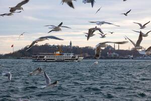 Istanbul sfondo foto. traghetto e gabbiani foto