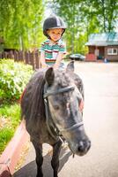 bellissimo poco ragazza Due anni vecchio equitazione pony cavallo nel grande sicurezza fantino casco in posa all'aperto su campagna foto