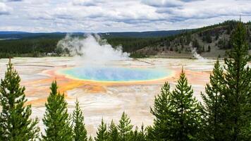 grande primavera prismatica nel parco nazionale di yellowstone foto