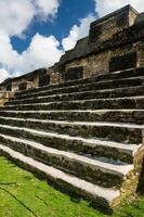lamanai archeologico Riserva Maya albero tempio nel belize giungla foto