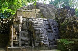 lamanai archeologico Riserva Maya albero tempio nel belize giungla foto