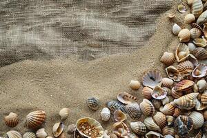 ai generato diverso mare conchiglie e stella marina come un' sfondo vacanza concetto foto