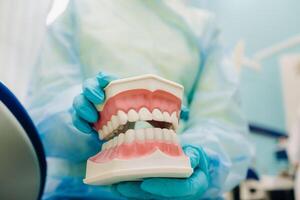 un' modello di un' umano mascella con denti nel il dal dentista mano foto