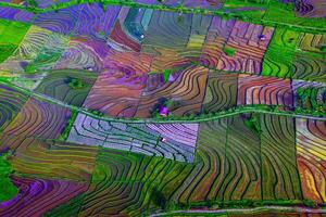 bellissimo mattina Visualizza a partire dal Indonesia di montagne e tropicale foresta foto