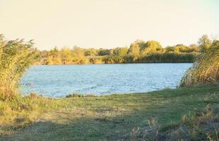 bellissimo autunno paesaggio con lago e multicolore alberi. pittoresco posto con lago e alto alberi foto