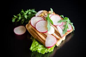 caldo Sandwich di fritte crostini ripieno con formaggio, erbe aromatiche e Ravanelli foto