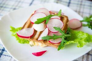 caldo Sandwich di fritte crostini ripieno con formaggio, erbe aromatiche e Ravanelli foto