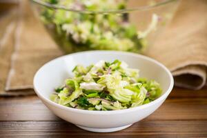 giovane cavolo insalata con viola cipolle nel un' ciotola . foto