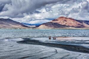 montagna lago tso kar nel Himalaya foto