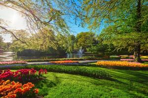 keukenhof fiore giardino. lisse, il Olanda. foto