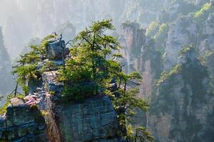 zhangjiajie montagne, Cina foto