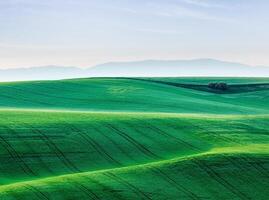 moravia rotolamento paesaggio foto