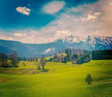 Tedesco idilliaco pastorale campagna nel primavera con Alpi nel indietro foto