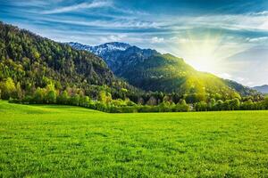 alpino prato nel Baviera, Germania foto