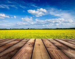 giallo canola campo con cielo, di legno tavole pavimento foto