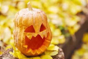 Halloween zucca su ceppo contro giallo le foglie nel il parco o foresta nel autunno foto