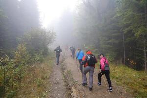 carpazi montagne, Ucraina - ottobre 8, 2022 montare hoverla. Carpazi nel Ucraina nel autunno foto