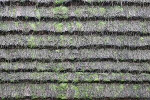 enorme paglia tetto di tradizionale ucraino Casa. cannuccia tetto con secco erba foto