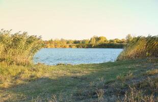 bellissimo autunno paesaggio con lago e multicolore alberi. pittoresco posto con lago e alto alberi foto