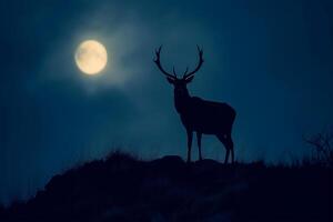 ai generato cervo silhouette su un' collina nel il chiaro di luna, mondo natura giorno foto