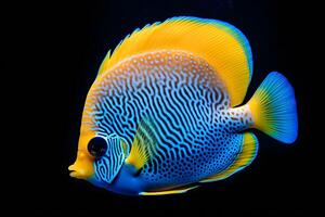ai generato mare vita esotico tropicale corallo scogliera banda di rame farfalla pesce. neurale Rete ai generato foto