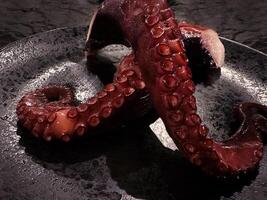 tentacoli di bollito polpo su nero piatto sfondo. buongustaio, ristorante piatto. foto