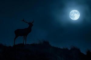 ai generato cervo silhouette su un' collina nel il chiaro di luna, mondo natura giorno foto