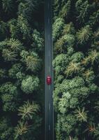 ai generato aereo Visualizza di auto viaggi attraverso il calma foresta strada foto