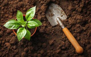 ai generato giardinaggio utensili su il terra foto