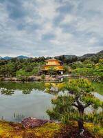 vivace natura circostante un' giallo pagoda foto