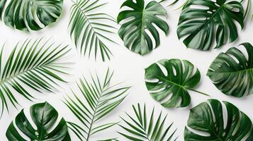 ai generato superiore Visualizza di tropicale le foglie su bianca sfondo. creativo natura disposizione fatto di palma. piatto posare verde fogliame. estate bandiera modello con copia spazio foto