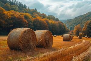 ai generato fieno balle su il campo dopo raccogliere colorato autunno paesaggio foto