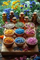 ai generato il naturale medicina erbe aromatiche medicinali e fiori foto